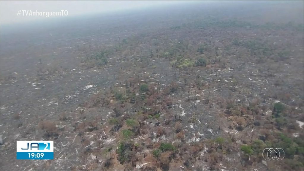Combate a incêndios é encerrado na Mata do Mamão: ‘Não tem mais o que queimar’