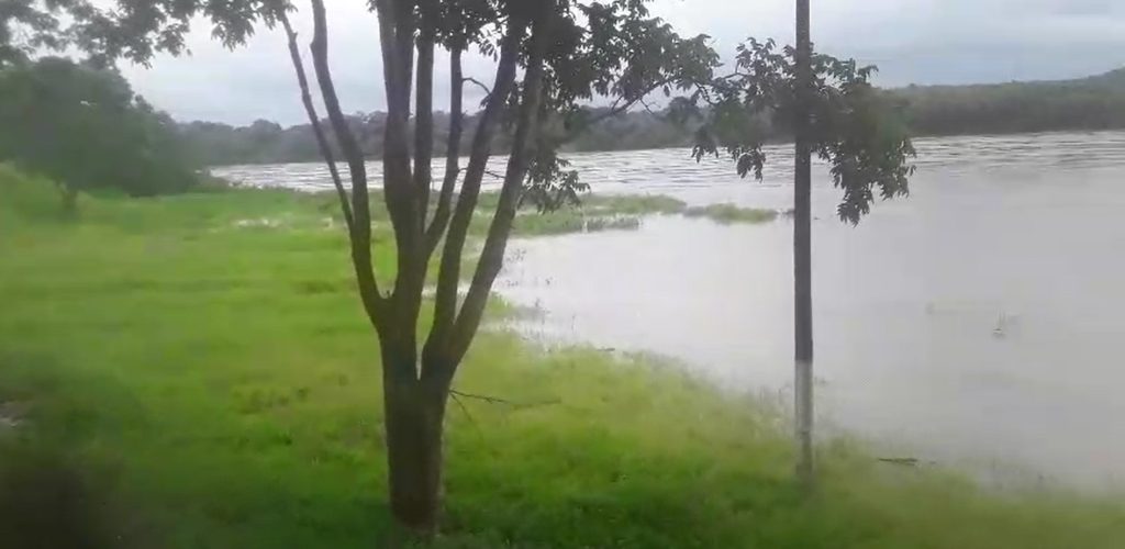 Alerta da Defesa Civil prevê aumento nos níveis dos rios Palma e Paranã e riscos de enchente; veja cuidados