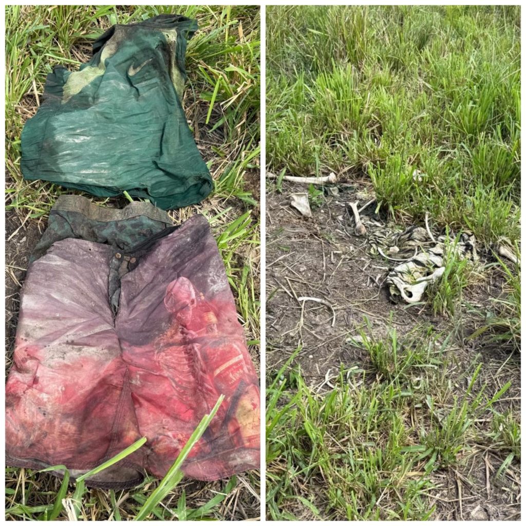 Ossada humana é encontrada em fazenda na zona rural de Colinas do Tocantins